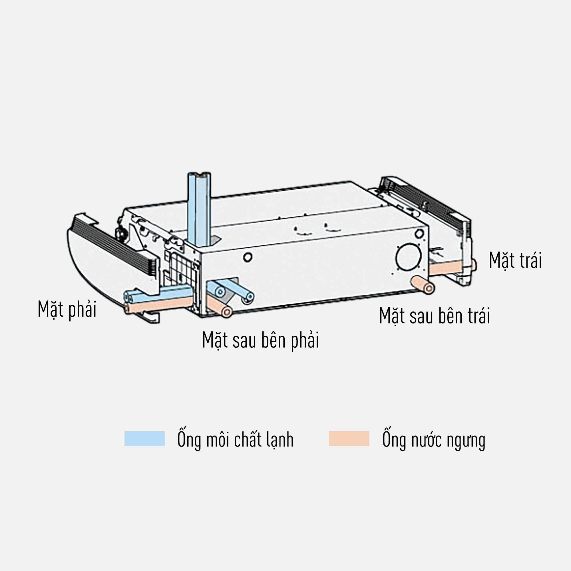 Nhiều hướng đi ống để phối hợp với tường và trần